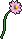 呼噜花