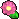冷静之花