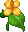 夜鸣草