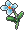 罂粟花