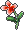 苹果薄荷