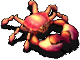 巨螯螃蟹